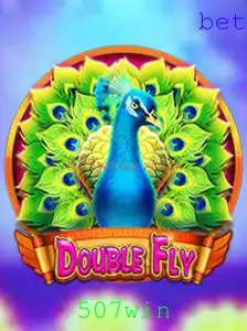 DoubleFly: Um Mergulho no Mundo do Jogo Inovador